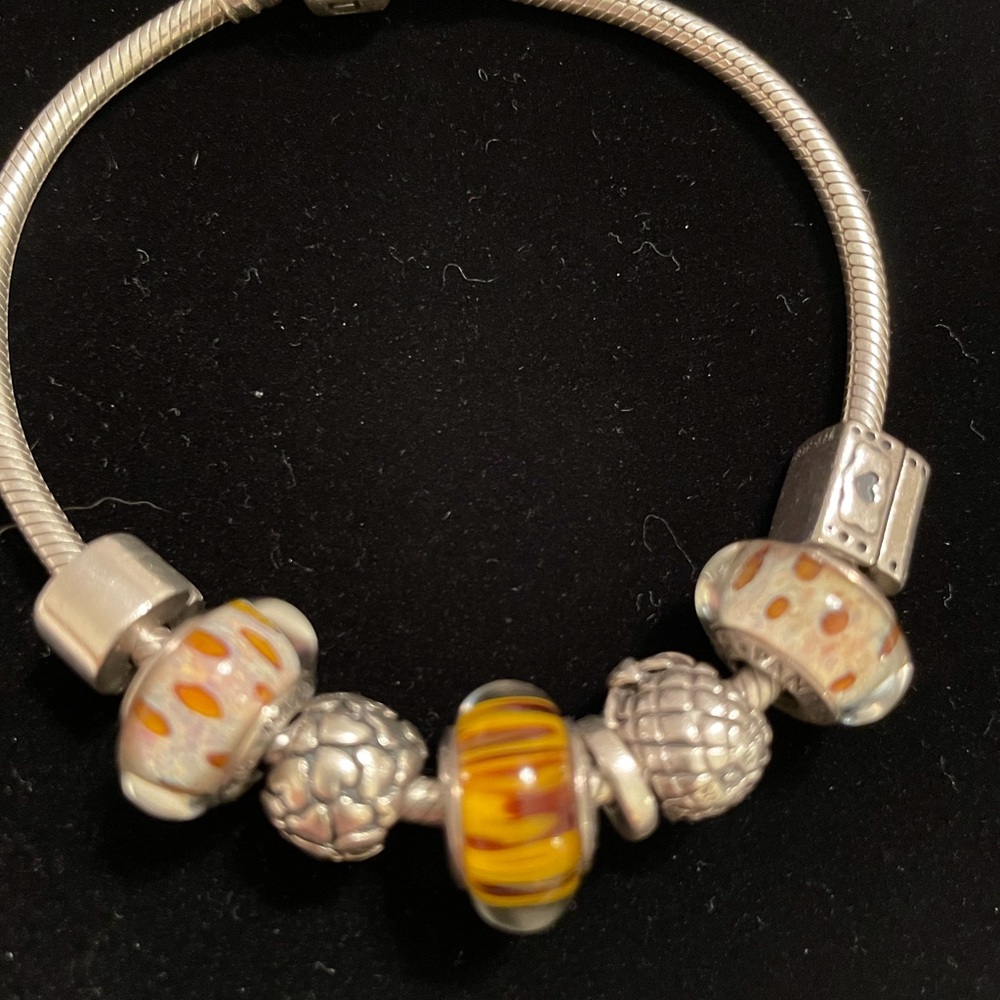 💕Pandora Retired Murano glass Charms, and bracelet